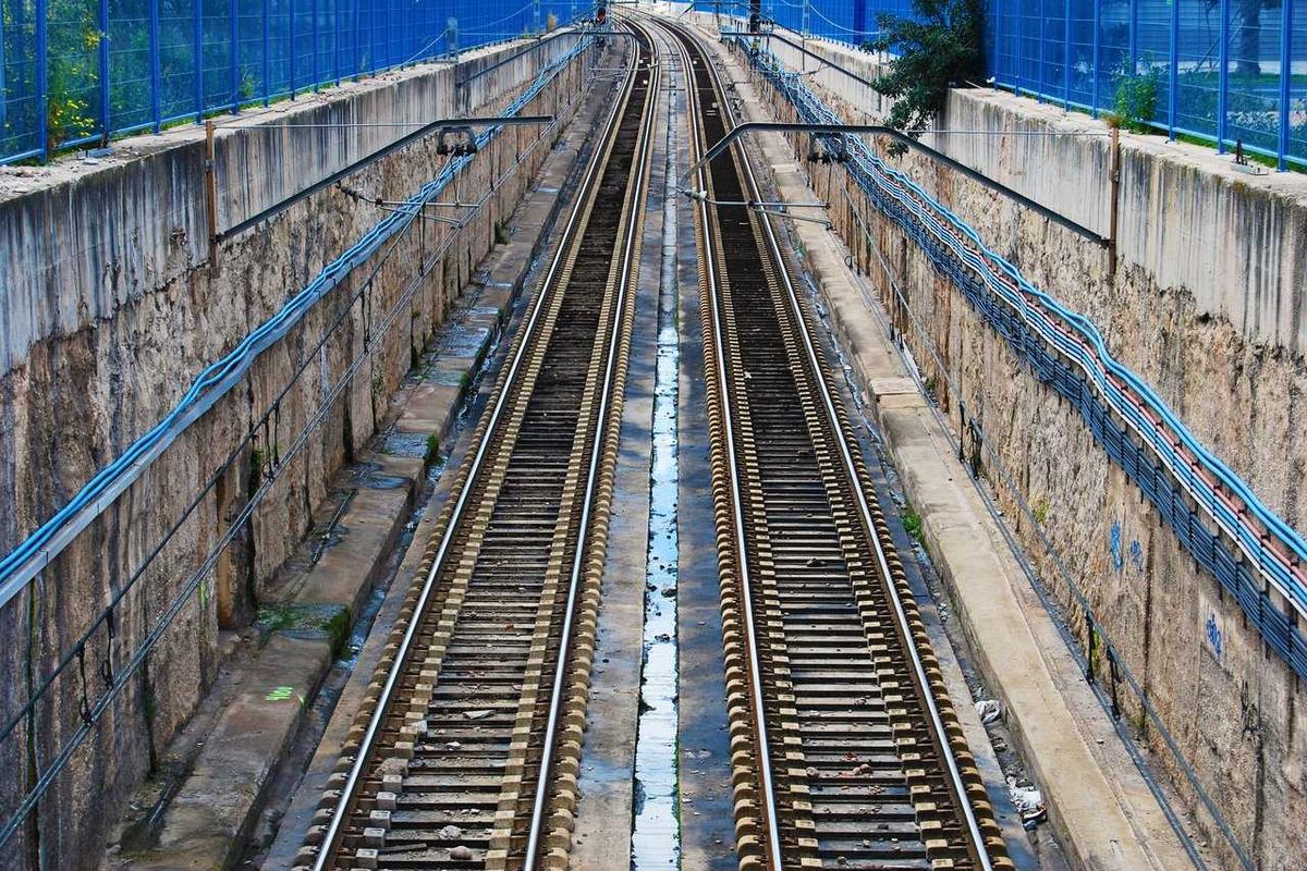 연구 및 개발(R&D)
